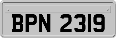 BPN2319