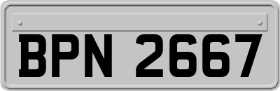 BPN2667