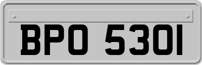 BPO5301