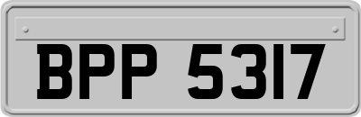 BPP5317