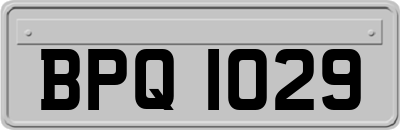 BPQ1029