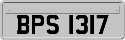 BPS1317