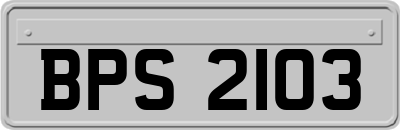BPS2103