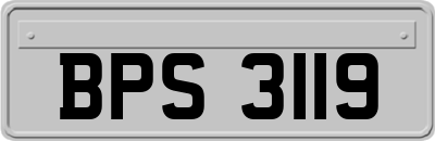 BPS3119