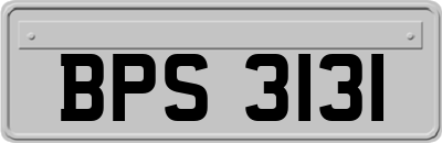 BPS3131