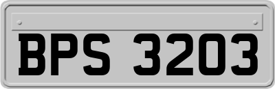 BPS3203