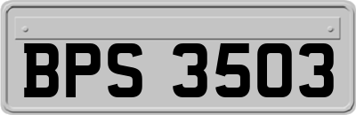 BPS3503