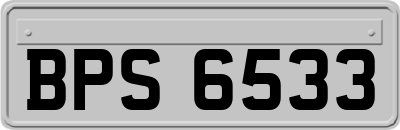 BPS6533