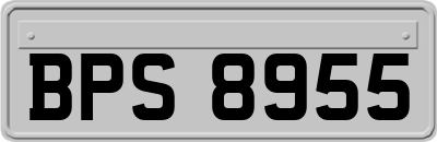 BPS8955