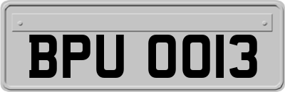 BPU0013