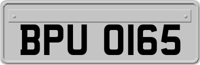 BPU0165