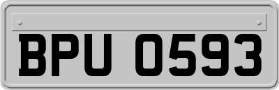 BPU0593