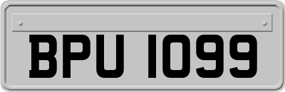 BPU1099