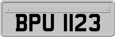 BPU1123