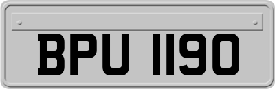 BPU1190