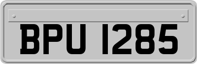 BPU1285