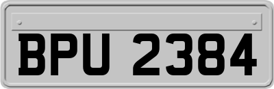 BPU2384