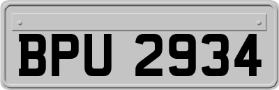 BPU2934