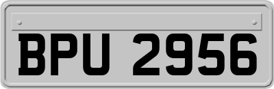 BPU2956