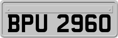 BPU2960