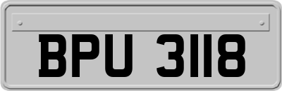 BPU3118