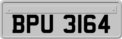 BPU3164
