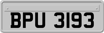 BPU3193