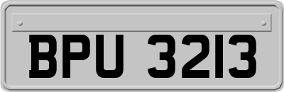 BPU3213