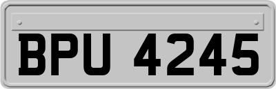 BPU4245