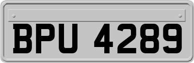 BPU4289