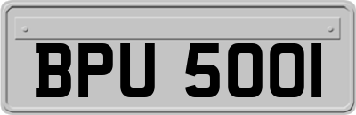 BPU5001