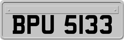BPU5133