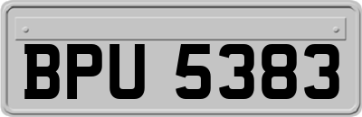 BPU5383