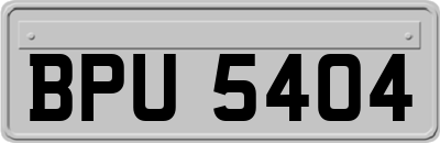 BPU5404