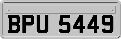 BPU5449