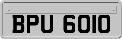 BPU6010