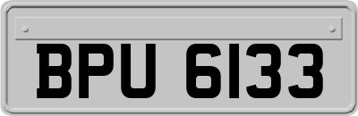 BPU6133