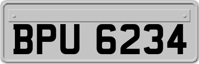 BPU6234