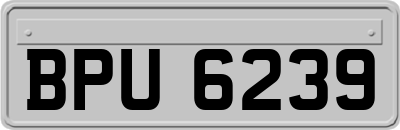 BPU6239