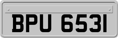 BPU6531