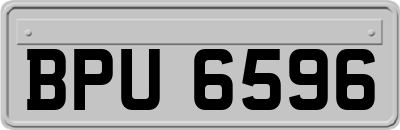 BPU6596