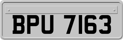 BPU7163