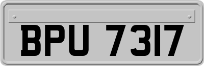 BPU7317
