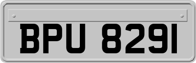 BPU8291