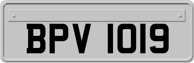 BPV1019