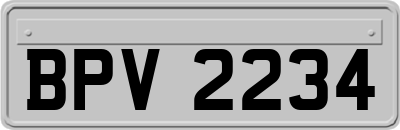 BPV2234