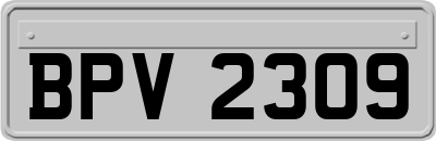 BPV2309