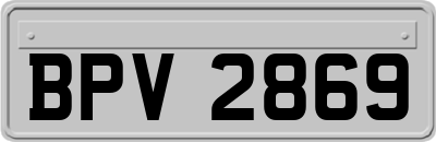 BPV2869
