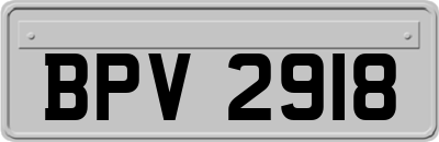 BPV2918