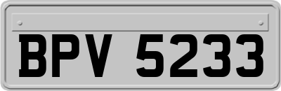 BPV5233